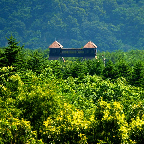 î�����������������̡��򽣥ޡ�����