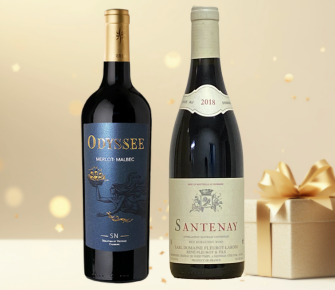 ブルゴーニュワイン赤白　松谷コレクション2本セット ブルゴーニュワイン赤白 松谷コレクション2本セット ワイン ワイン