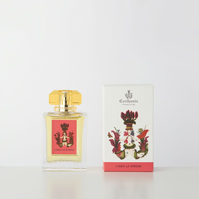 �����ɥѥ�ե���50ml�ʥꥸ���� �� ���졼�� ��