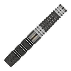 TARGET 【ターゲット】 RVB95×エコー 20G レイモンド・ヴァン・バーナベルド選手モデル (RVB95×ECHO 20G Tungsten95%) | ダーツ 2BAバレル 20.0g|タ
