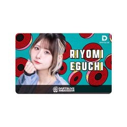 ダーツアクセサリー | ビリヤード＆ダーツ【イーアールスポーツ】