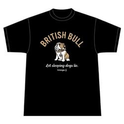 ��2025ǯ12���ȯ��ͽ���SHADE ��ƣ�������ꥳ���T����� 2025