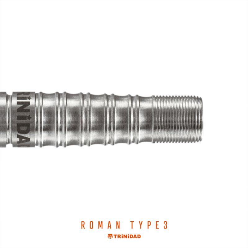 TRiNiDAD �ڥȥ�˥����ɡ� �ץ� �����ޥ� ������3 ���Ƽ�ͳ�����ǥ�(PRO Roman Type3 Tungsten90%) �å����� 2BA�Х�� 20.5g