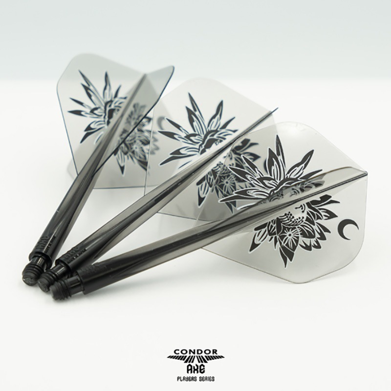 ɥ å   ꥢ֥å ĲƳ