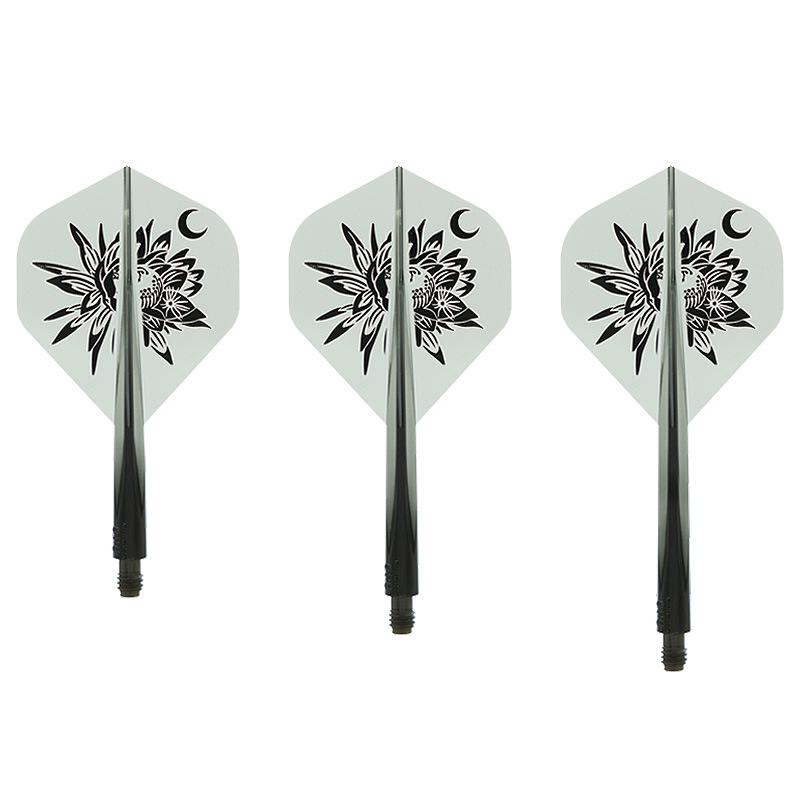 ɥ å   ꥢ֥å ĲƳ