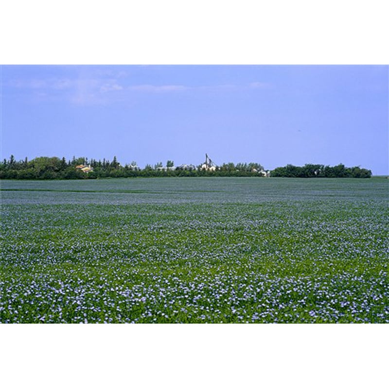 �������̡���-NAMA-DHA+EPA+������� 180γ����