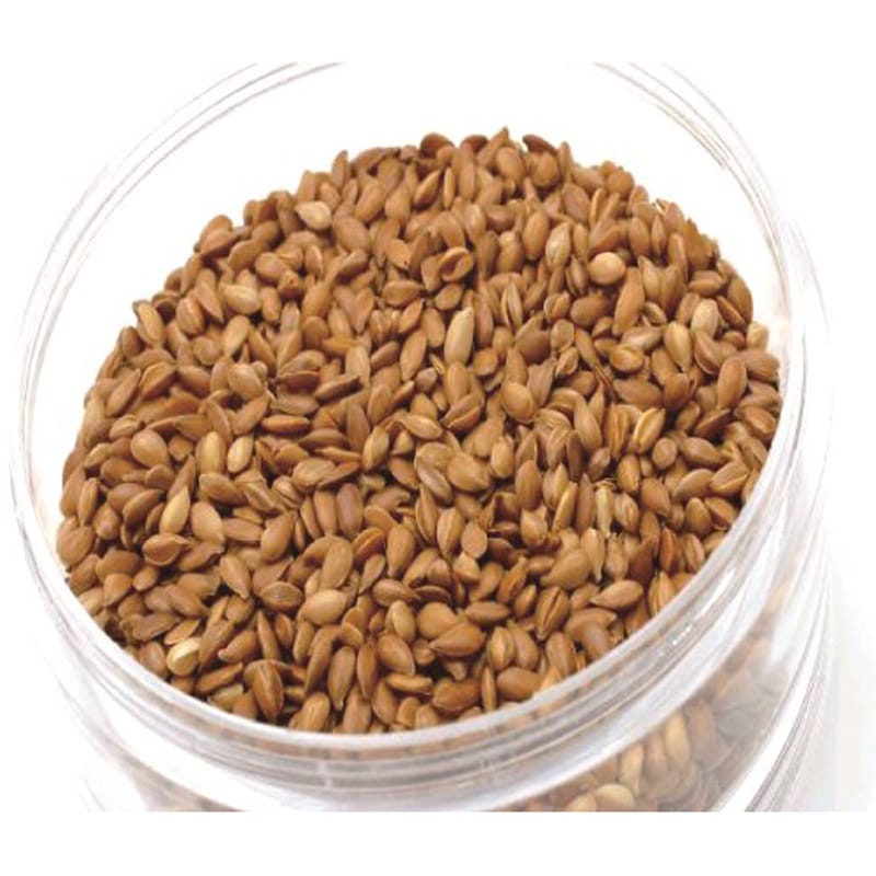 �������̡���-NAMA-DHA+EPA+������� 180γ����