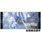 SHADE �ץ쥤�䡼�ե����������� 2025 �����