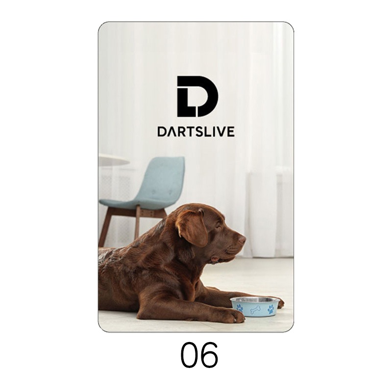 DARTSLIVE CARD #58 �ڥ����ĥ饤�֥����ɡ�