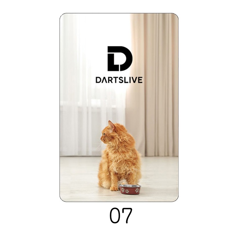 DARTSLIVE CARD #58 �ڥ����ĥ饤�֥����ɡ�