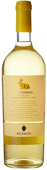 Ρ ѥå꡼ 2023 Ρ  750ml