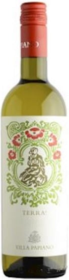 ƥå ! 2019 å ѥԥ  750ml