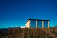 コッレフリージオ ロゼ 2024 コッレフリージオ ロゼ 750ml