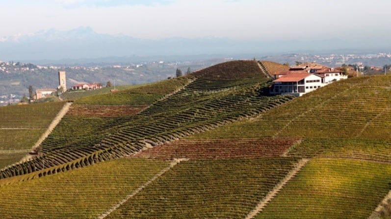 ブルーノ　ロッカ　バルバレスコ　マリア　アデライデ　2011 2011 Bruno Rocca Barbaresco Maria Adelaide - CellarTracker