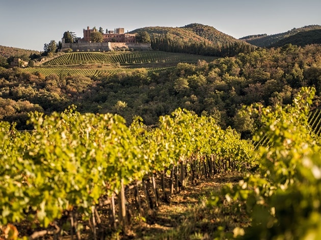 カステッロ ディ ブローリオ キャンティ クラッシコ グラン