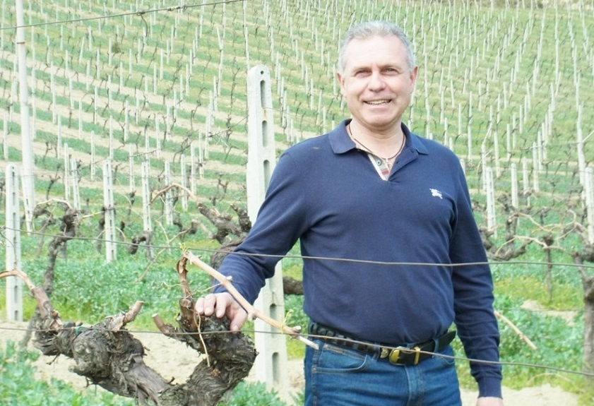 ラクリマ ディ モッロ ダルバ スペリオーレ 2021 ヴェレノージ 赤