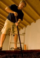 ネストリ 2018 メロイ 赤 750ml