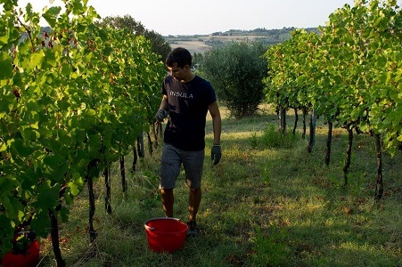 フランジパーネ ロマーニャ アルバーナ セッコ 2023 テヌータ ラ