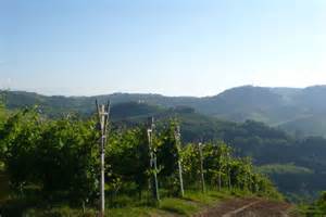 バローロ カシーナ フランチャ 2007 ジャコモ コンテルノ 赤 750ml