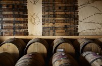 ラ ピッチョーナ ボナルダ コッリ ピアチェンティーニ 2012 ルセンティ 赤 750ml|エミリア ロマーニャ　|赤ワイン