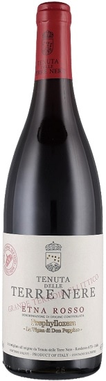 ���ȥ� ���å� �ץ�ե��������� 2022 �ƥå� �͡��� �� 750ml