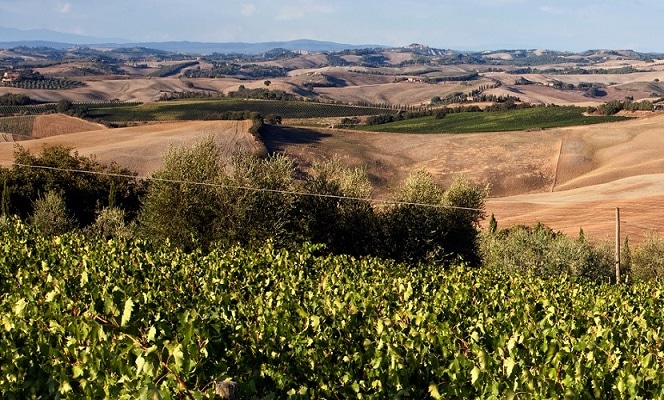 【ダル】ペルナンベルジュレス1er cru&ブルネッロディモンタルチーノ アンリ・ド・ブルソー ペルナン・ヴェルジュレス プルミエ・クリュ レ