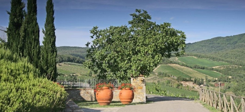 ピアン デル チャンポロ 2016 モンテヴェルティーネ 赤 750ml |ワイン