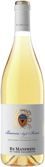 �ޥ�ե�ǥ� �ӥ��� �Х��ꥫ���� 2023 �� �ޥ�ե�ǥ� �� 750ml