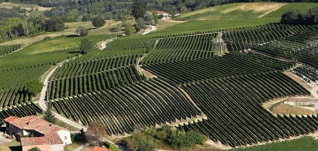 ランゲ ロッソ 2023 G.D. ヴァイラ 赤 750ml |ワインショップ タストヴァン