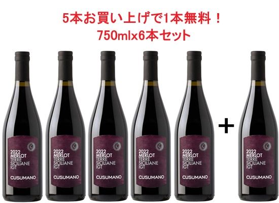  Υꥨ 2022 ޡ  6 (5:1) å