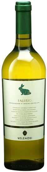 ե졼ꥪ 2021 Ρ  750ml