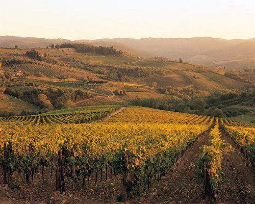 キャンティ クラッシコ グラン セレツィオーネ ヴィーニャ デル ソルボ