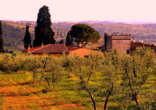 ロッソ ディ セーラ 2013 ポッジョピアーノ 赤 750ml |ワインショップ