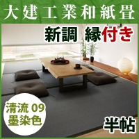 ����Ĵ�����դ�Ⱦġ ��ή09 ������