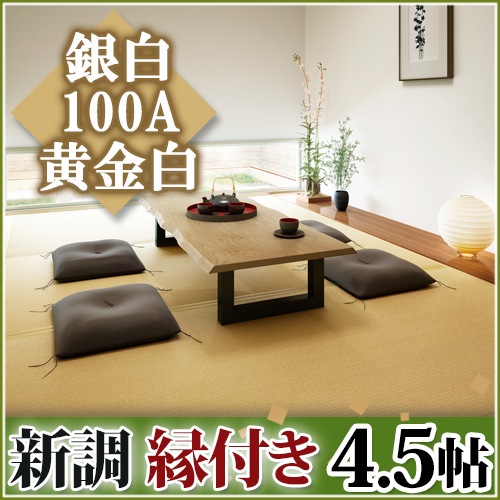 ����Ĵ�����դ�4.5ġ ����100A ���⿧