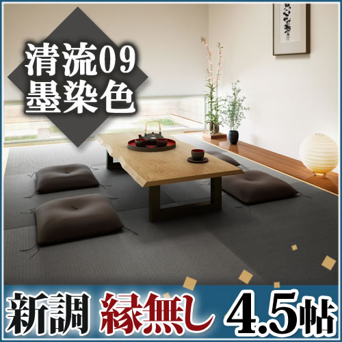 ����Ĵ����̵��4.5ġ ��ή09 ������