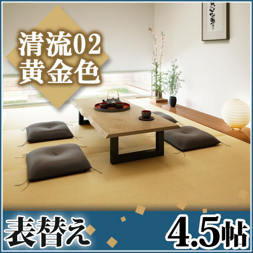 ��ɽ�ؤ������դ�4.5ġ ��ή02 ���⿧