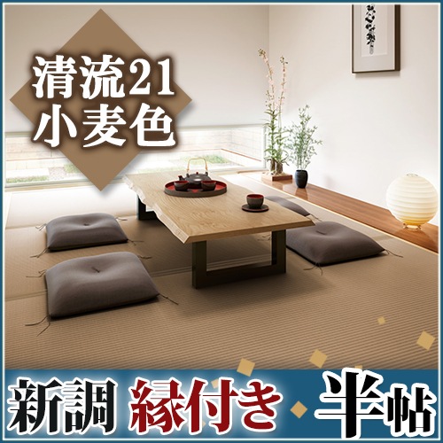 ����Ĵ�����դ�Ⱦġ ��ή21 ������