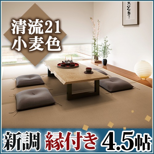 ����Ĵ�����դ�4.5ġ ��ή21 ������