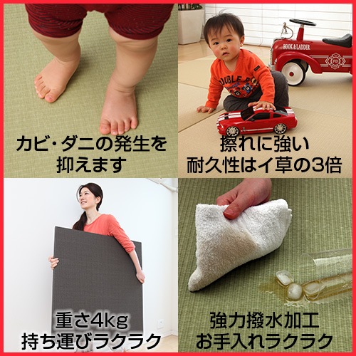 �ڥ�˥åȾ� / �֤��� / ΰ������ / �ե�����󥰾� / �»���۱�̵����˥åȾ��֤���������ή���꡼����1������