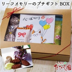 ����� �꡼�ե��꡼�ε͹礻���եȥܥå��� �ץ����ե�