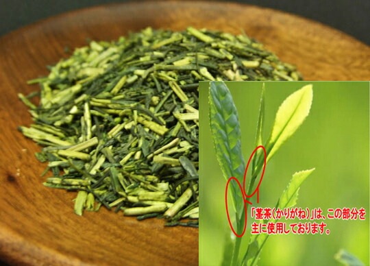 ꤬ͷݡʤ餿200 Ƥֿ͵δŤߤΤ