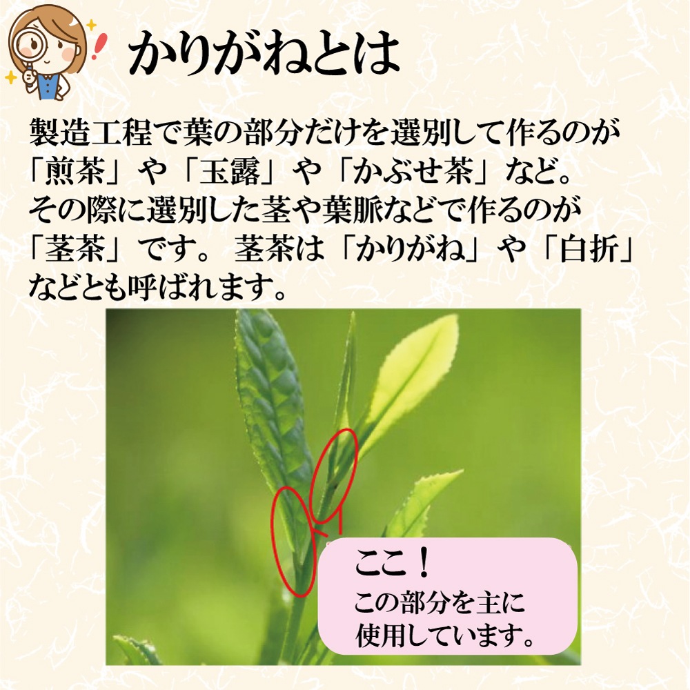 群竹200gと白折200gセット【包装】