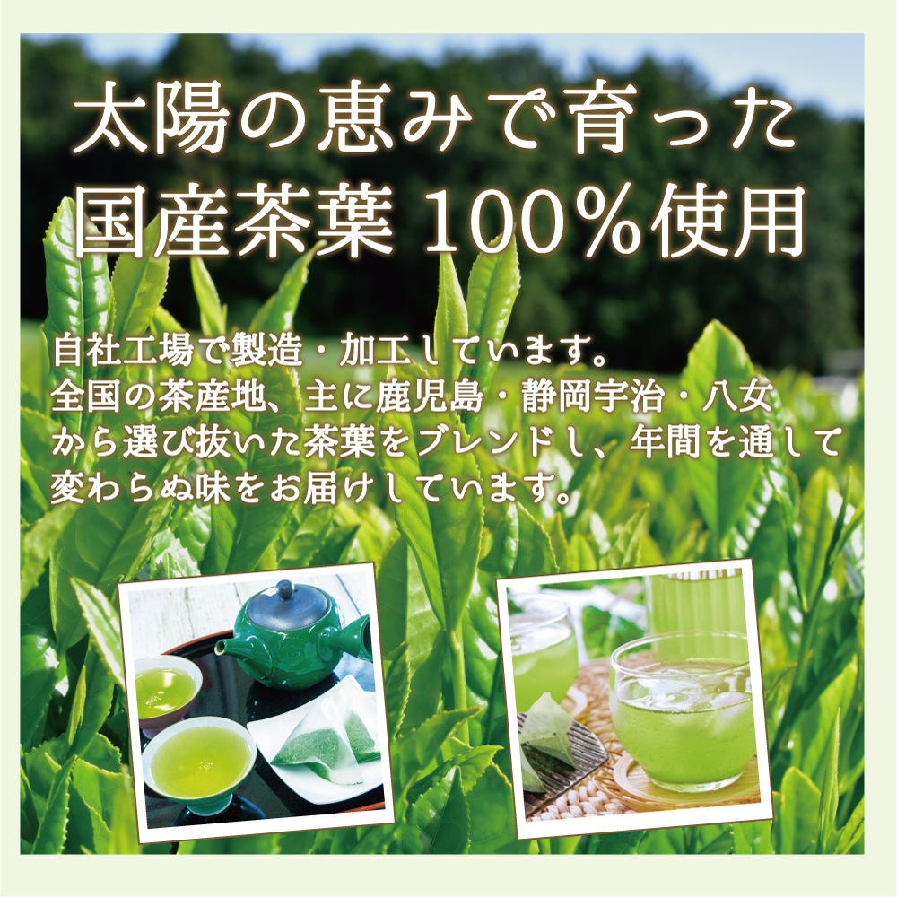 抹茶入緑茶ティーバッグ(急須・水出し両用）5g×40パック×5袋セット