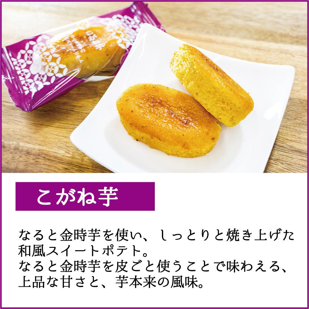 �����Ͱ�ȷ��ݤΥ��åȡ�KO-2)