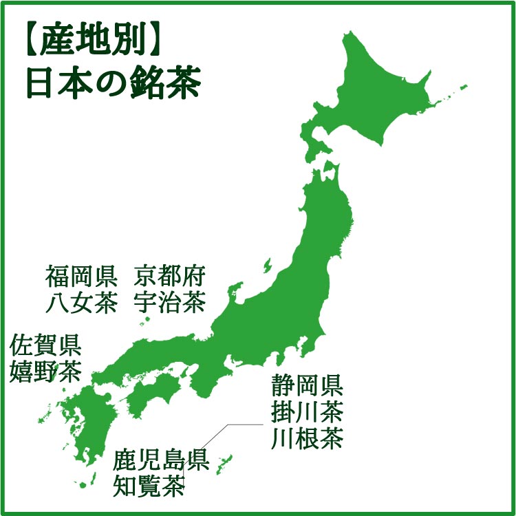 人気の茶産地の煎茶80ｇを3袋セット。