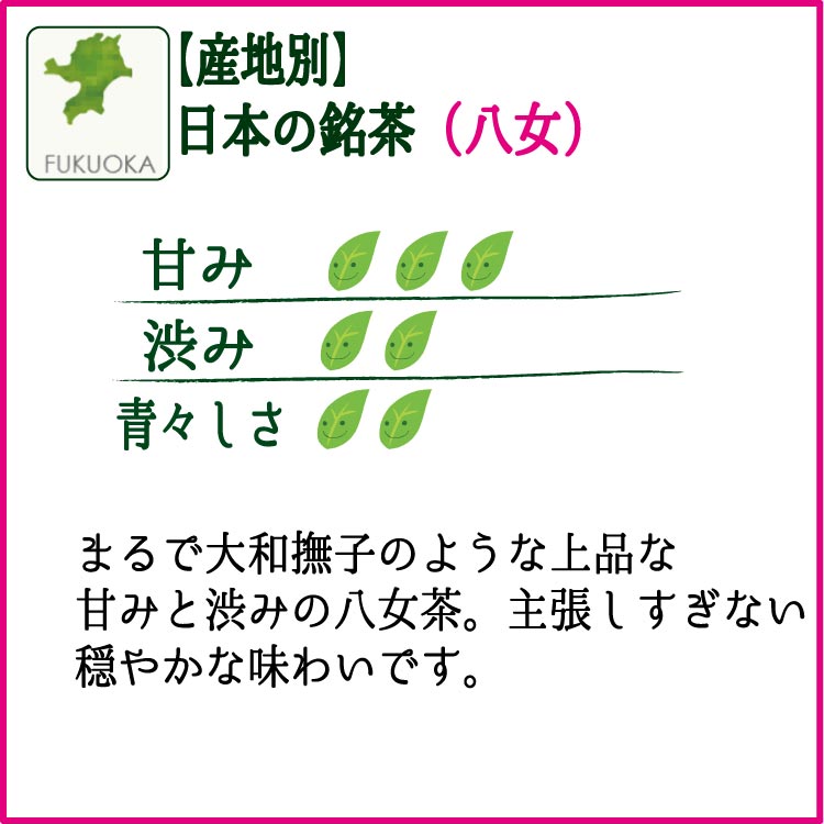 人気の茶産地の煎茶80ｇを3袋セット。