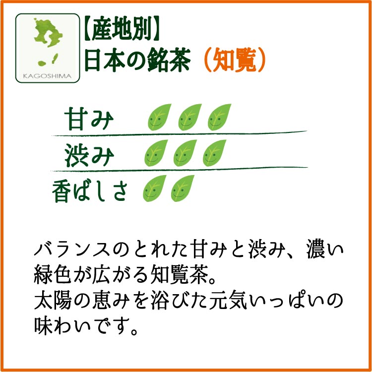 人気の茶産地の煎茶80ｇを3袋セット。