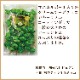 ���� ����ƥ���ߥ����祳�졼�� 80�� �ԥ奢��
