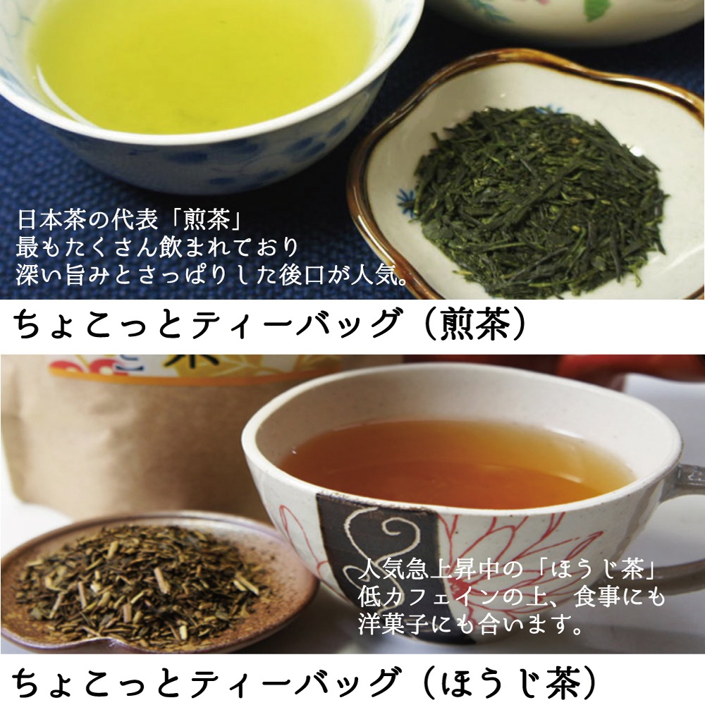 襤2ΤƥХåեȡ6狼2٤